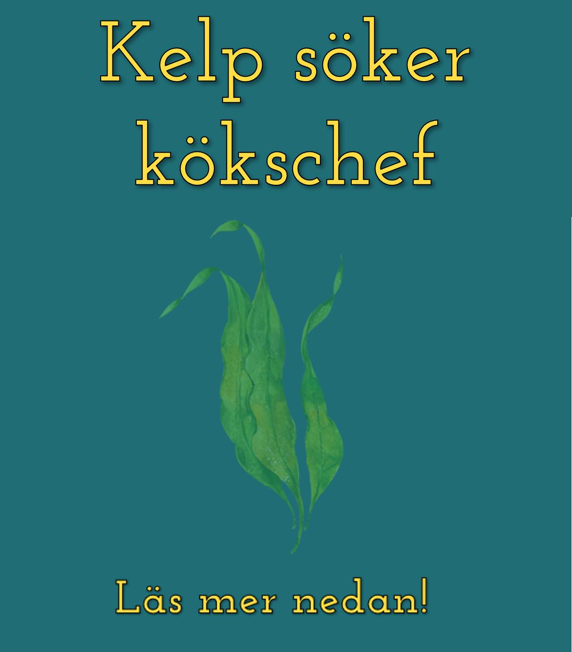 Kelp söker kökschef