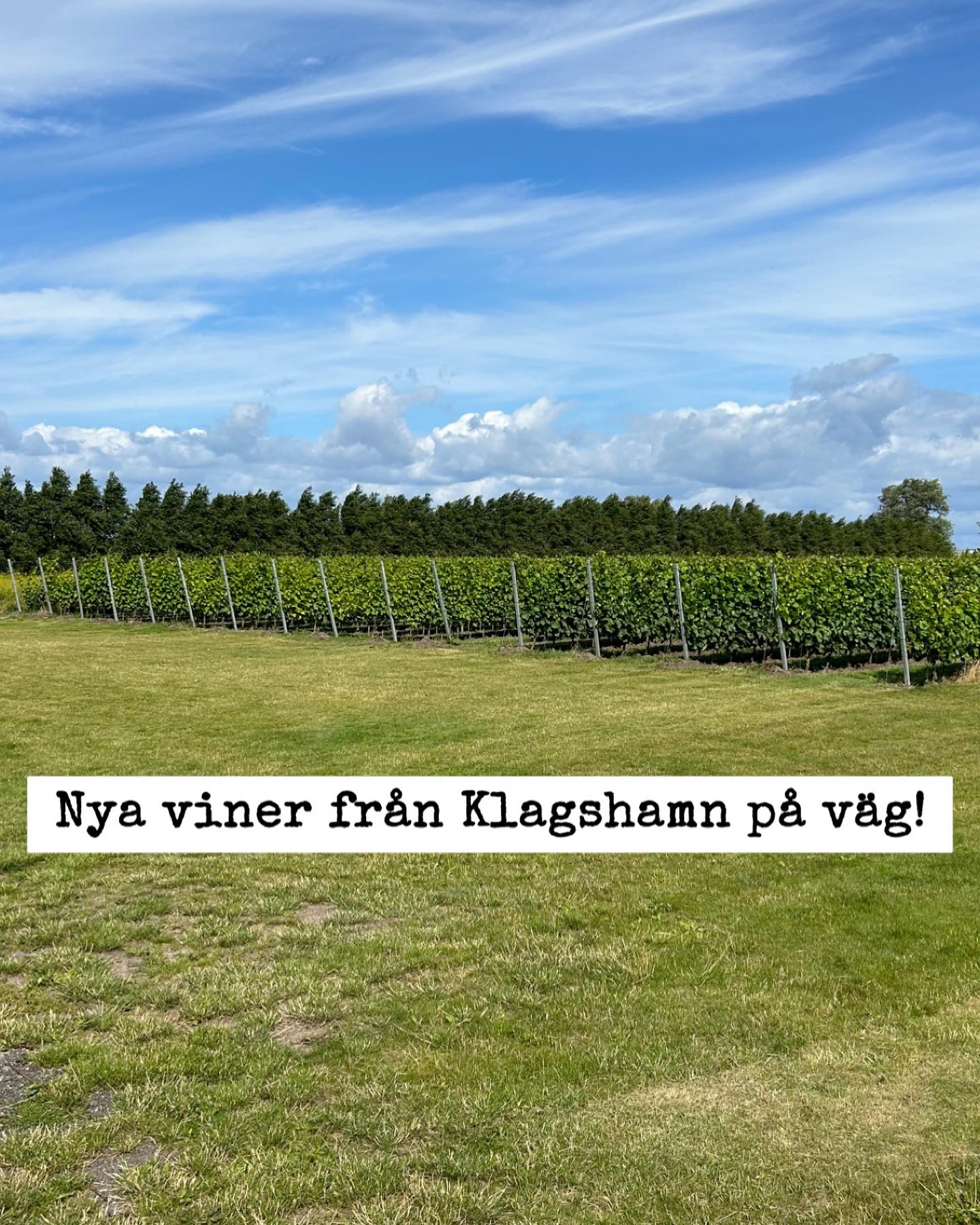 Vinleverans